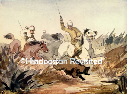 /data/Original Prints/Caricature, Humour/OUR PIG STICKING.jpg